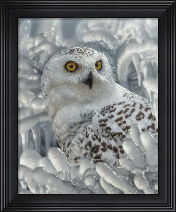 Framed Snowy Owl Sanctuary Print