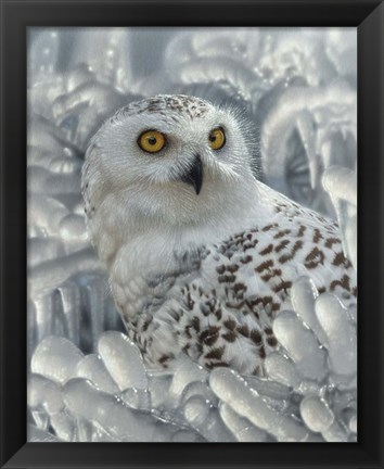 Framed Snowy Owl Sanctuary Print