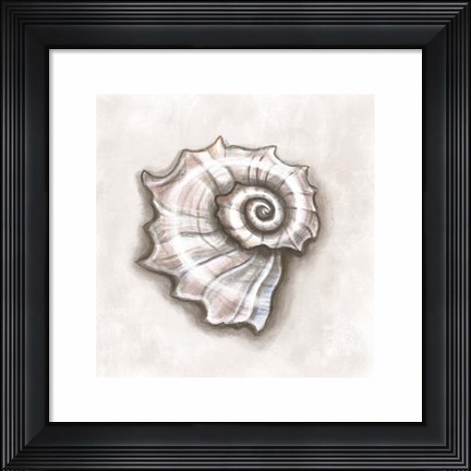 Framed Shell I Print