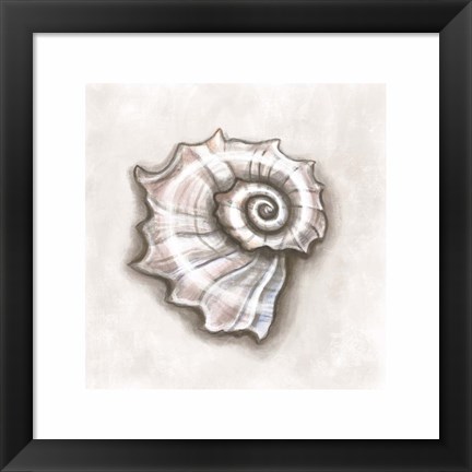 Framed Shell I Print