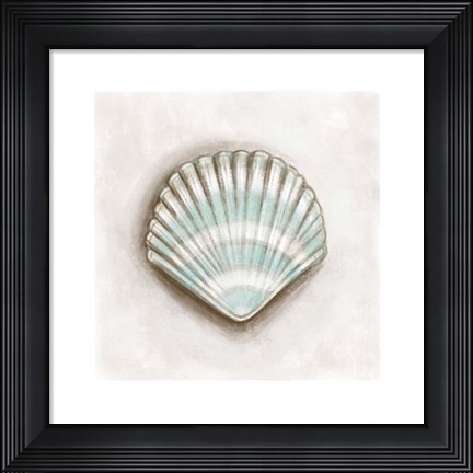 Framed Shell III Print