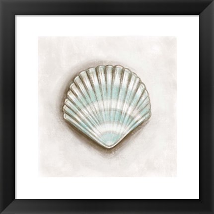 Framed Shell III Print