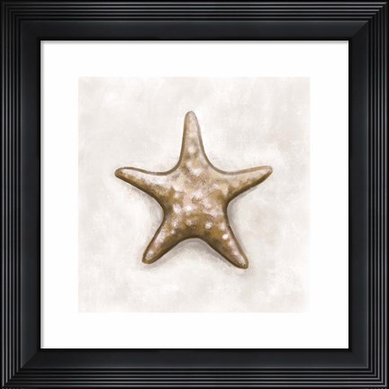 Framed Shell IV Print