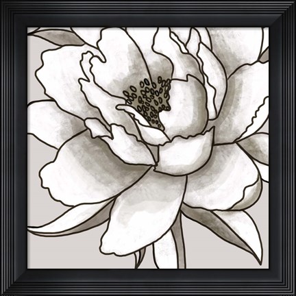 Framed Peony I Print