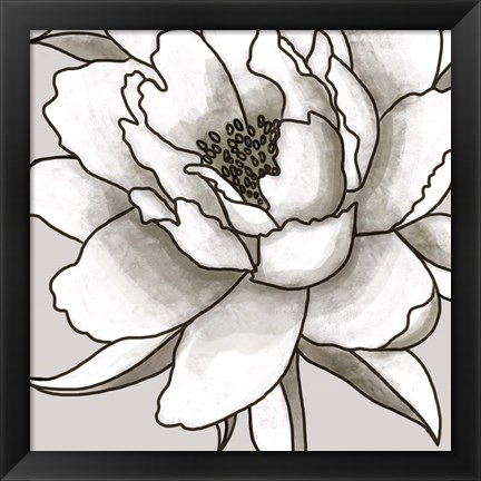 Framed Peony I Print