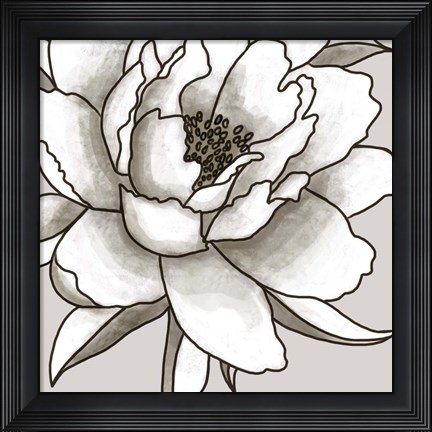 Framed Peony II Print