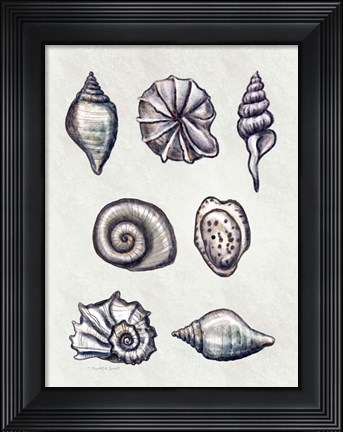 Framed Shells I Print