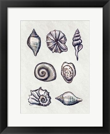 Framed Shells I Print