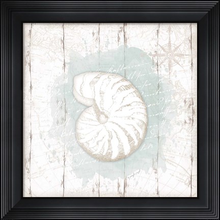 Framed Calming Coastal Shell Print