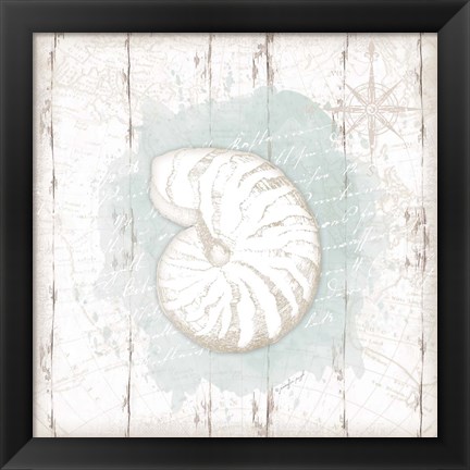 Framed Calming Coastal Shell Print