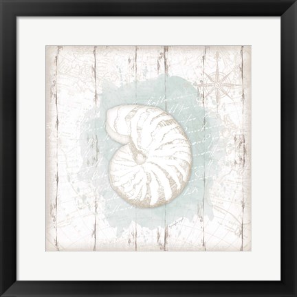 Framed Calming Coastal Shell Print