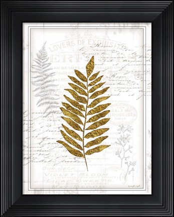 Framed Ferns Print