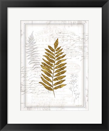 Framed Ferns Print