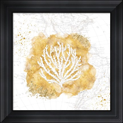 Framed Golden Coral II Print