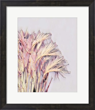 Framed Pink Grass Print