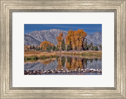 Framed Teton Autumn Print