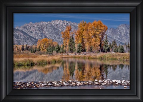 Framed Teton Autumn Print