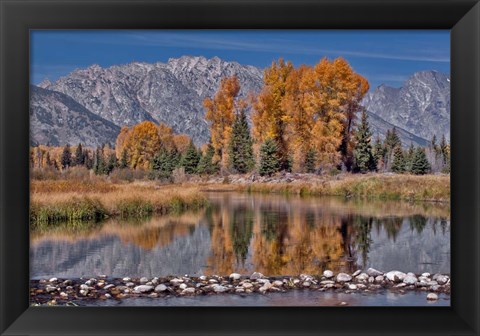 Framed Teton Autumn Print