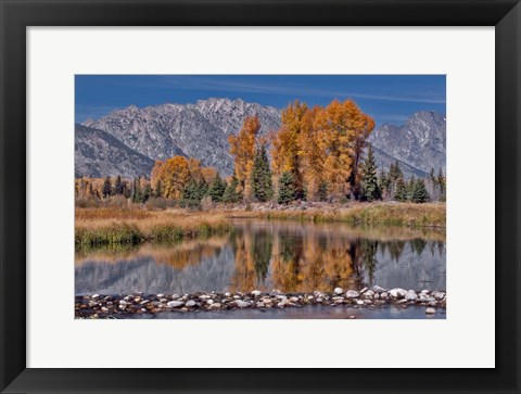 Framed Teton Autumn Print