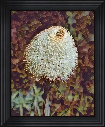 Framed Gemstone Bear Grass Print