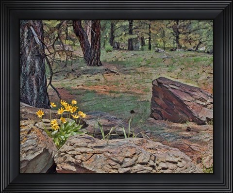 Framed Mule&#39;s Ears in Forest Print