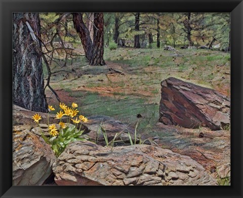 Framed Mule&#39;s Ears in Forest Print