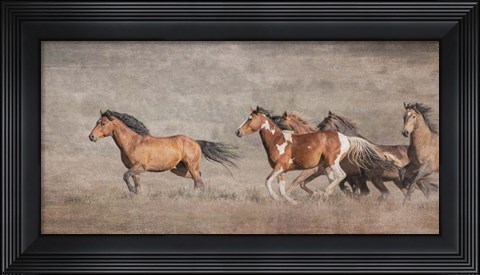 Framed Wild Bachelors Print