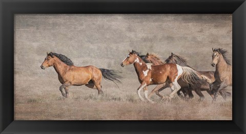 Framed Wild Bachelors Print