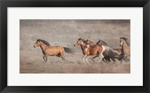 Framed Wild Bachelors Print