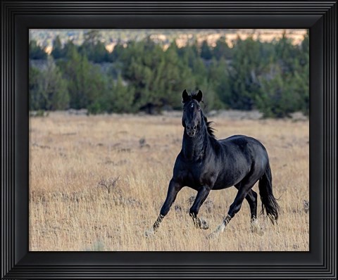 Framed Intense Print