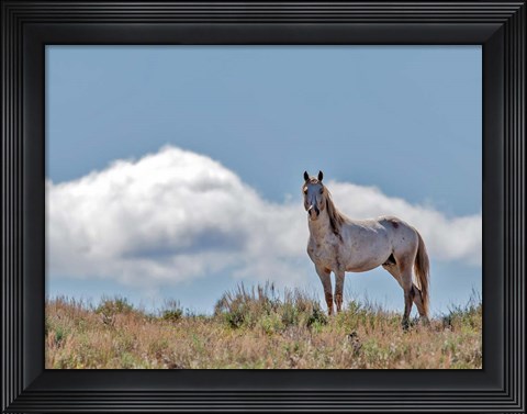Framed War Chief Print