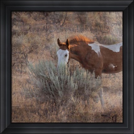 Framed Skye Hawk Print