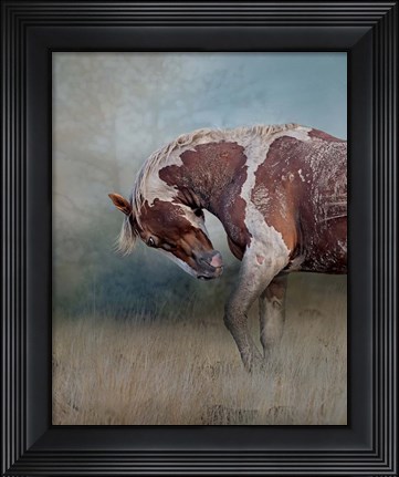 Framed Attitude Print