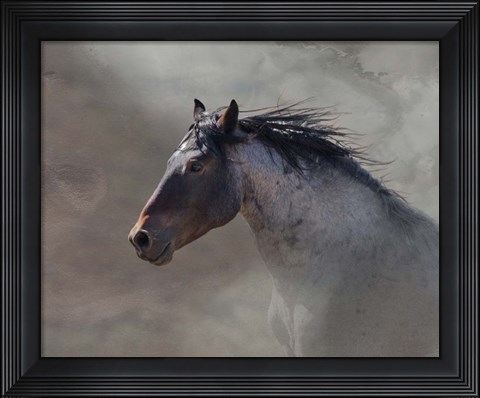 Framed Back Country Roan Print