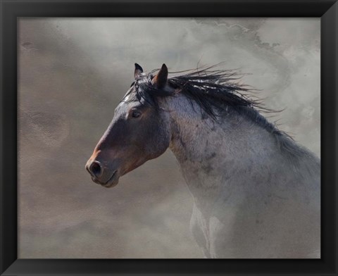 Framed Back Country Roan Print