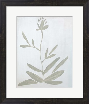 Framed Flower on White Print