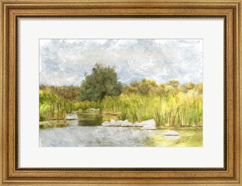 Framed Marshy Wetlands No. 1 Print