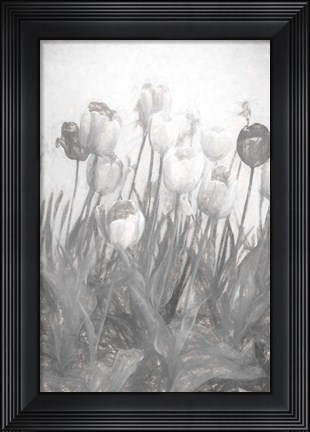 Framed Tulips I Print