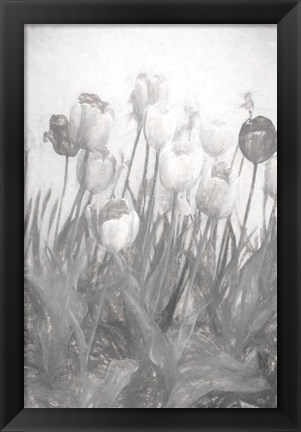 Framed Tulips I Print