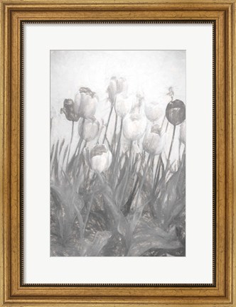 Framed Tulips I Print