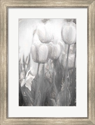 Framed Tulips II Print