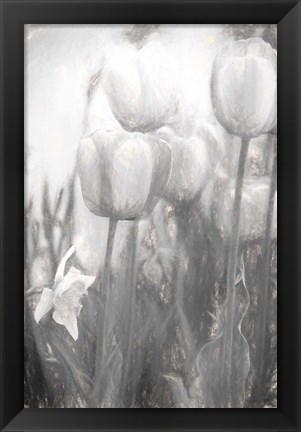 Framed Tulips II Print