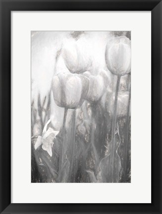 Framed Tulips II Print