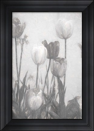 Framed Tulips III Print
