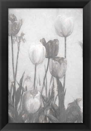 Framed Tulips III Print