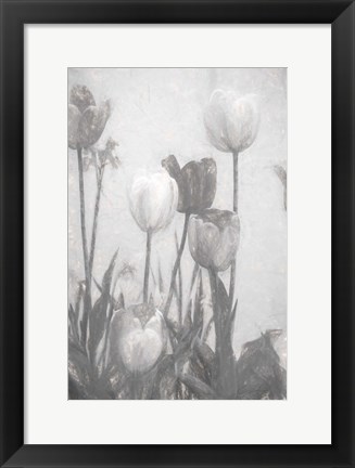 Framed Tulips III Print