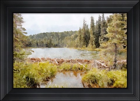 Framed Mountain Paradise No. 3 Print