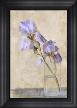 Framed Blue Iris Stem Print