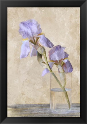 Framed Blue Iris Stem Print