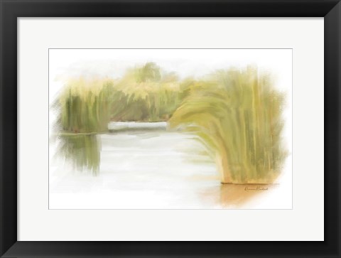 Framed Marshy Wetlands II Print